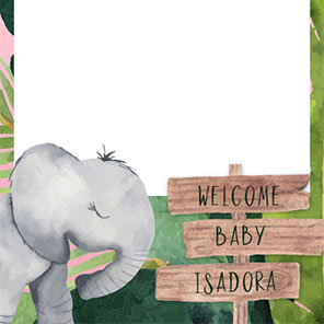 Baby Shower Baby Safari 1 2x6 4 Photos