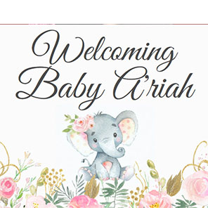 Baby Shower Sweet Elephant 2x6 3 Photos