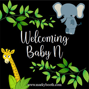 Baby Shower Little Safari 2x6 3 Photos